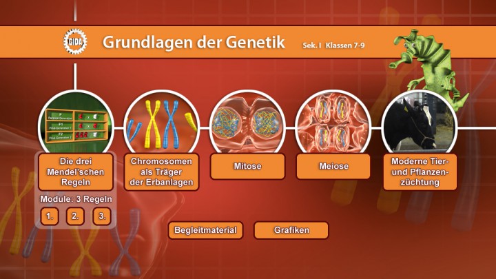 genetik-grundlagen-der-genetik-video-dvds-biologie-fachbereiche