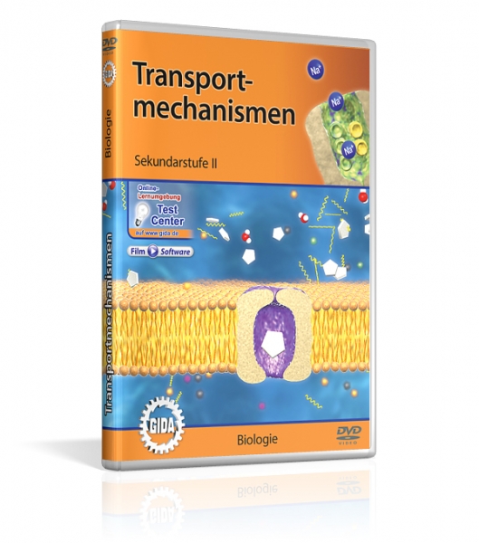 Transportmechanismen
