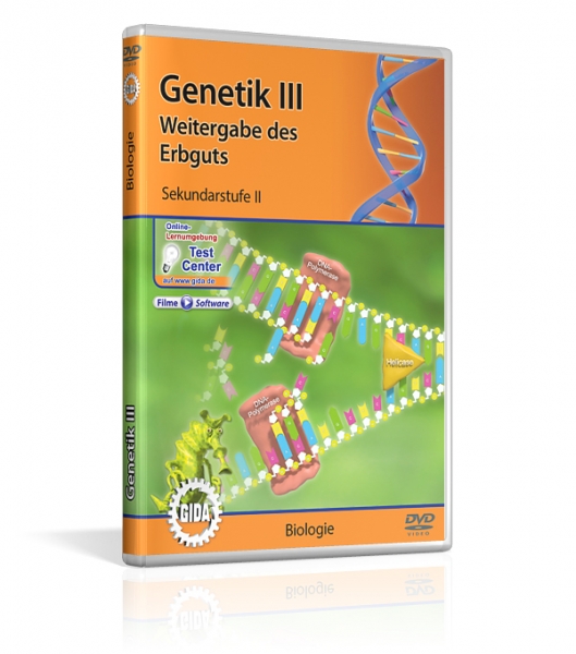 Genetik III - Weitergabe des Erbguts