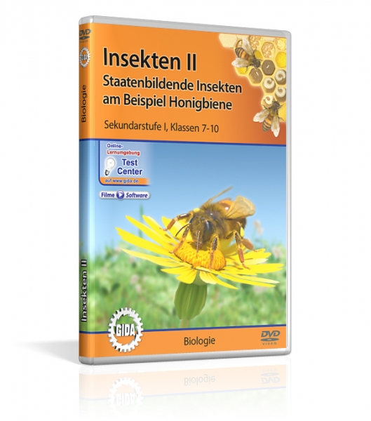 Insekten II - Staatenbildende Insekten am Beispiel Honigbiene
