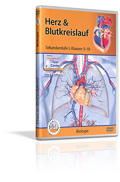 Herz und Blutkreislauf - Schulfilm (DVD)