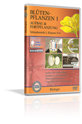 Blütenpflanzen I - Aufbau und Fortpflanzung - Schulfilm (DVD)