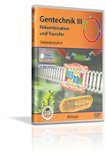 Gentechnik III - Rekombination und Transfer - Schulfilm (DVD)