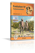 Evolution IV - Humanevolution - Schulfilm (DVD)