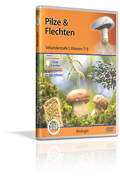 Pilze & Flechten - Schulfilm (DVD)