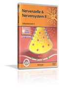 Nervenzelle & Nervensystem II - Schulfilm (DVD)