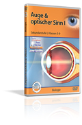 Auge & optischer Sinn I - Schulfilm (DVD)