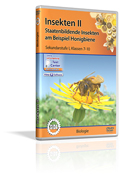 Insekten II - Staatenbildende Insekten am Beispiel Honigbiene - Schulfilm (DVD)