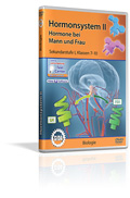 Hormonsystem II - Hormone bei Mann und Frau - Schulfilm (DVD)