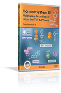 Hormonsystem III - Molekulare Grundlagen; Praxis bei Tier & Pflanze - Schulfilm (DVD)
