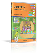 Genetik IV - Proteinbiosynthese - Schulfilm (DVD)
