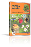 Bäume & Sträucher - Schulfilm (DVD)