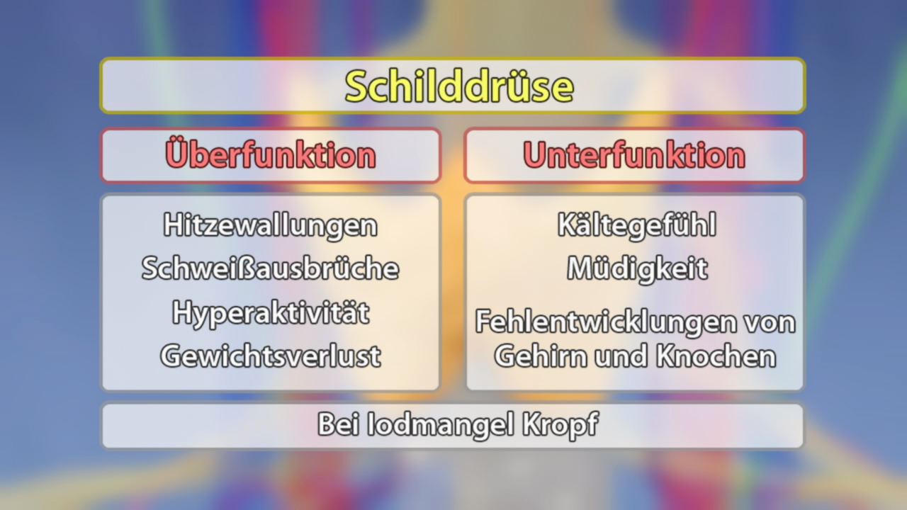 Tabelle über die Schilddrüse mit den Kategorien Überfunktion und Unterfunktion, einschließlich Symptomen wie Hitzewallungen und Kältegefühl.
