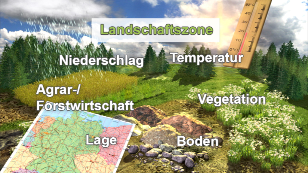 Infografik zur Landschaftszone mit den Elementen Niederschlag, Temperatur, Agrar-/Forstwirtschaft, Vegetation, Lage und Boden.