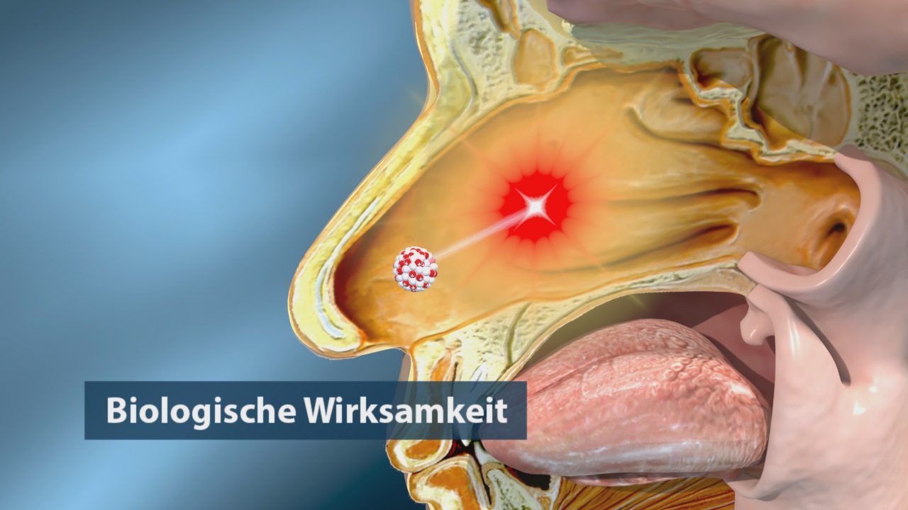 Illustration des menschlichen Naseninneren mit hervorgehobener biologischer Wirksamkeit, dargestellt durch einen roten Lichtstrahl.