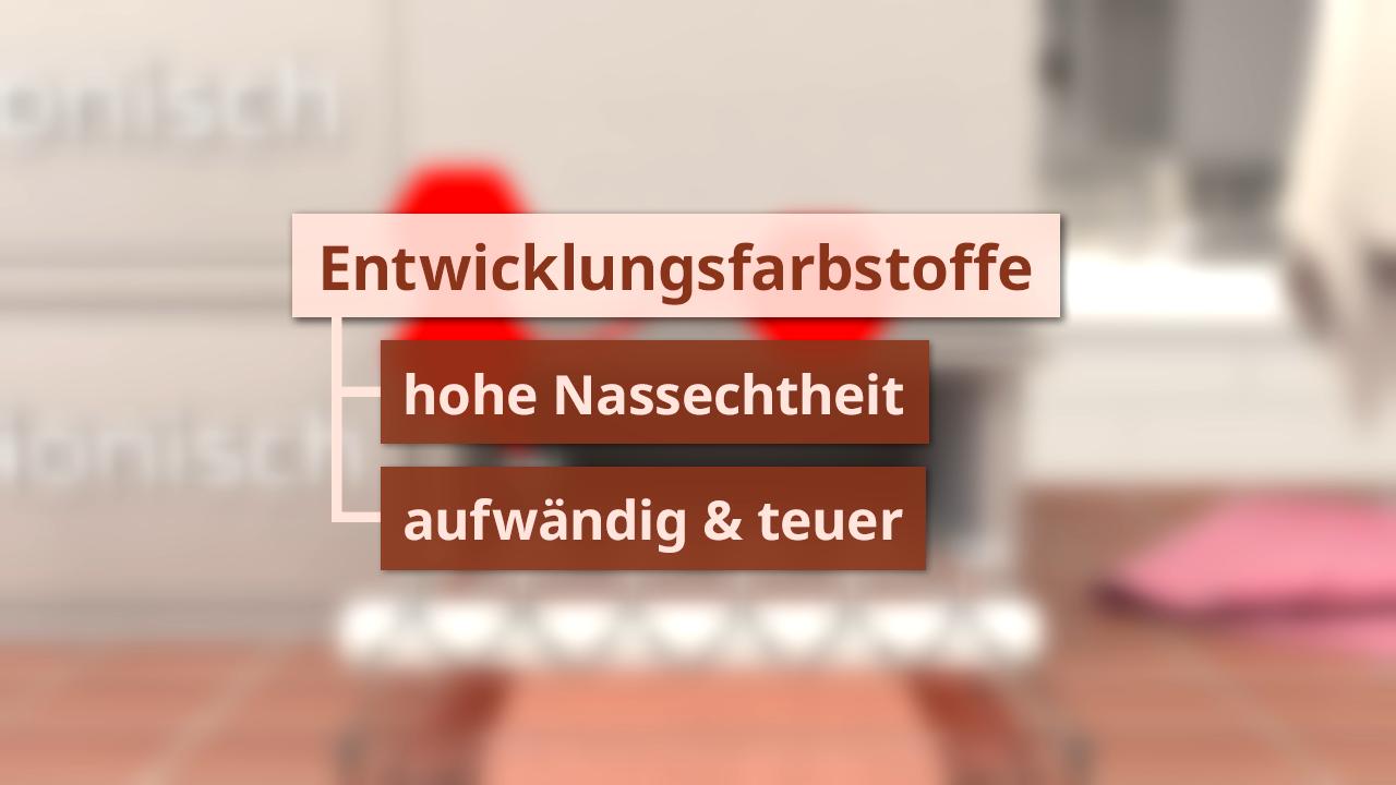 Infografik über Entwicklungsfarbstoffe mit den Punkten: hohe Nassechtheit, aufwendig und teuer.