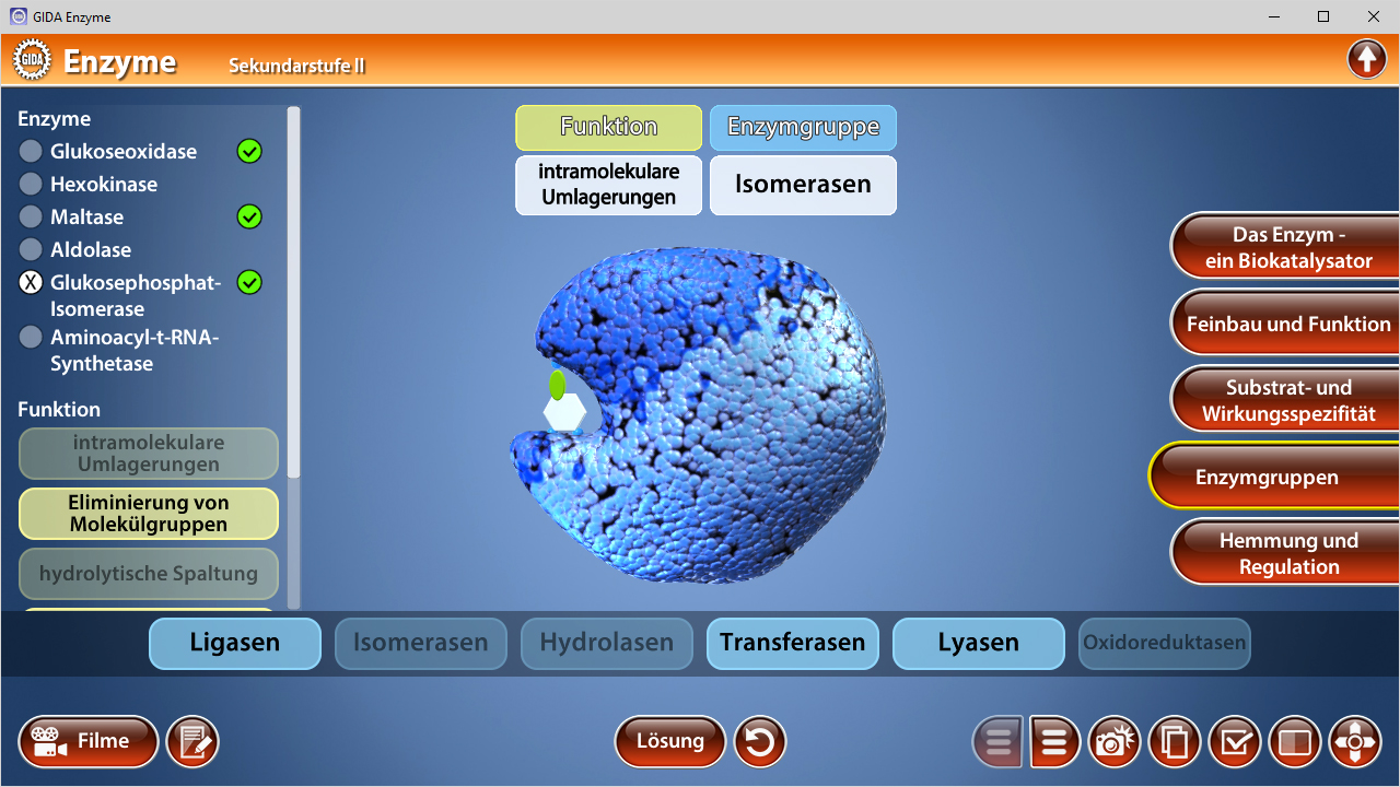 Interaktive Darstellung von Enzymen mit verschiedenen Enzymgruppen und deren Funktionen, einschließlich Isomerasen.