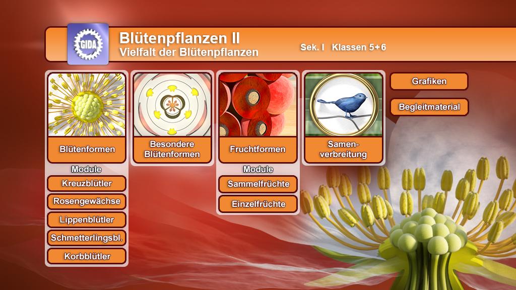 Menü des Films mit den Themen: Blütenformen, besondere Blütenformen, Fruchtformen, Samenverbreitung.