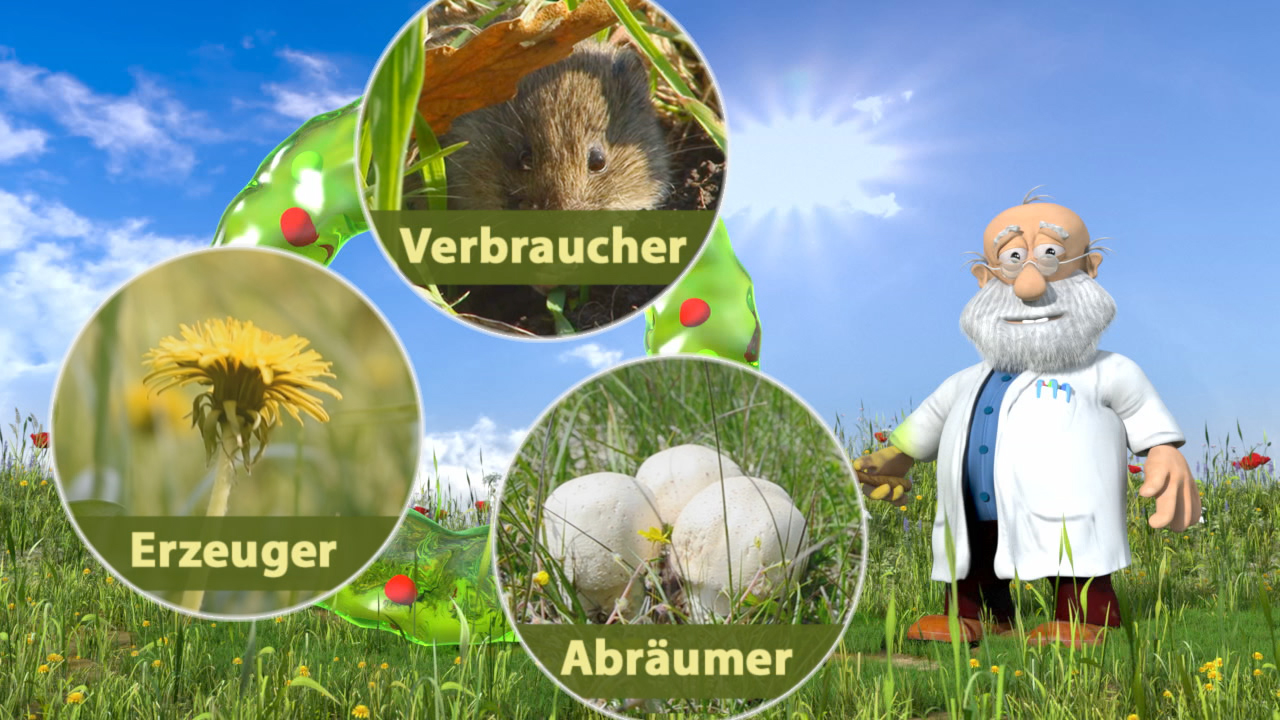 Illustration eines Wissenschaftlers neben drei Kreisen, die die Begriffe 'Erzeuger', 'Verbraucher' und 'Abräumer' zeigen, um ökologische Beziehungen darzustellen.
