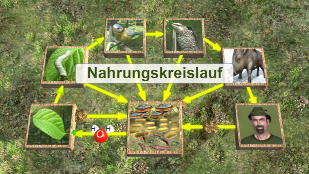Diagramm des Nahrungszyklus mit Bildern von Pflanzen, Tieren und einem Menschen, die verschiedene Rollen im Ökosystem darstellen.