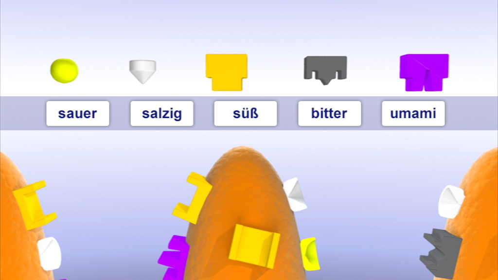 Grafik mit bunten Formen, die die fünf Geschmacksrichtungen darstellen: sauer, salzig, süß, bitter und umami.