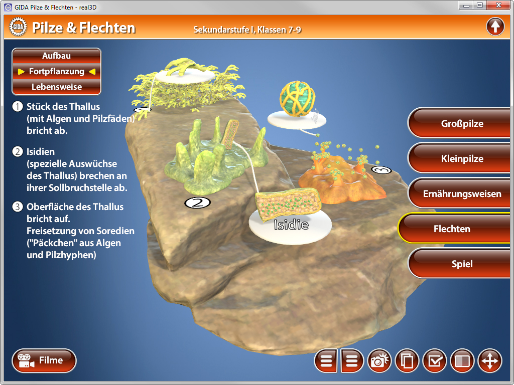 Interaktive Darstellung von Pilzen und Flechten mit Informationen zu Aufbau, Fortpflanzung und Lebensweise.