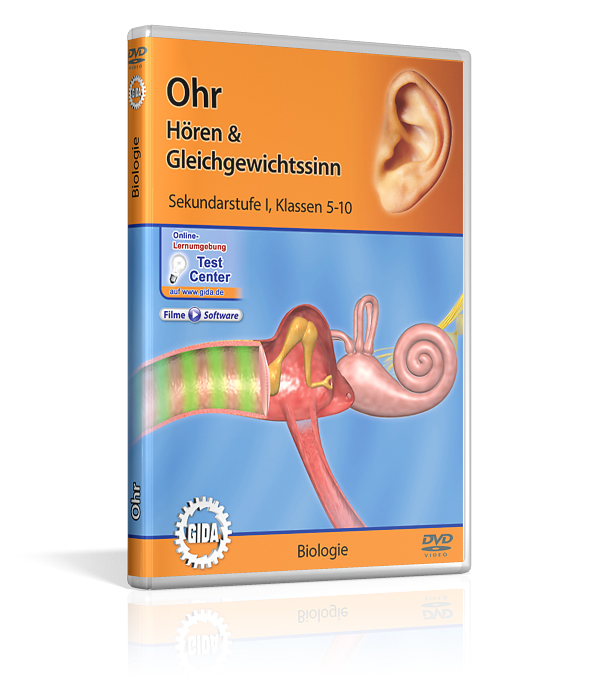 DVD-Cover über das Ohr, Hören und Gleichgewichtssinn, für Biologie, Sekundarstufe I, Klassen 5-10.