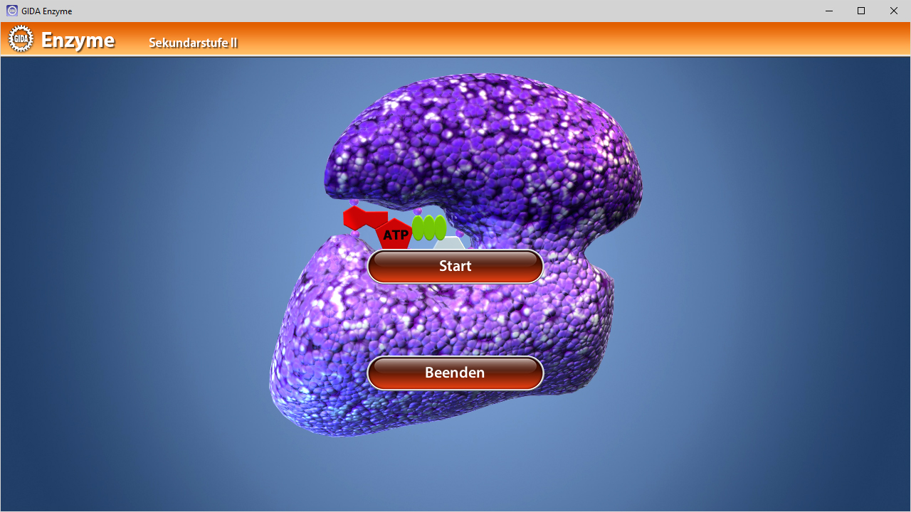 3D-Modell eines Enzyms mit hervorgehobenen Bindungsstellen für ATP, Schaltflächen 'Start' und 'Beenden'.