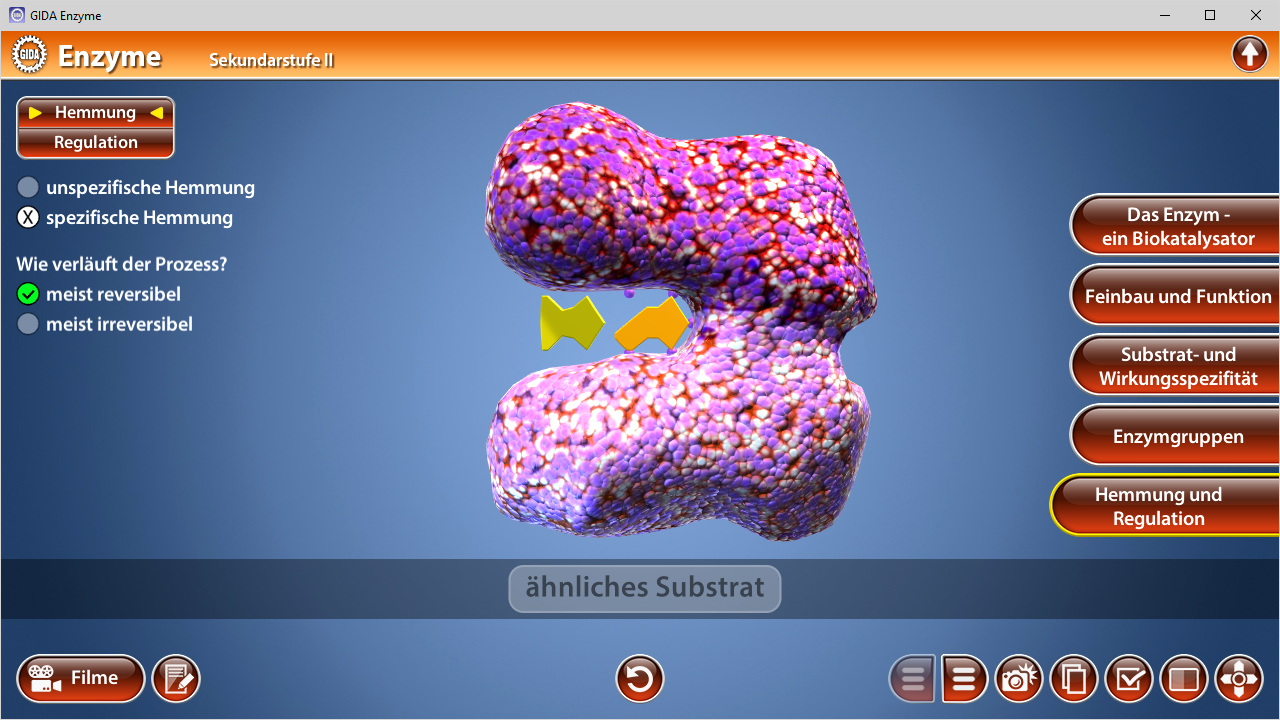 3D-Modell eines Enzyms, das Hemmung und Regulation zeigt, mit bunten Strukturen und einem ähnlichen Substrat.