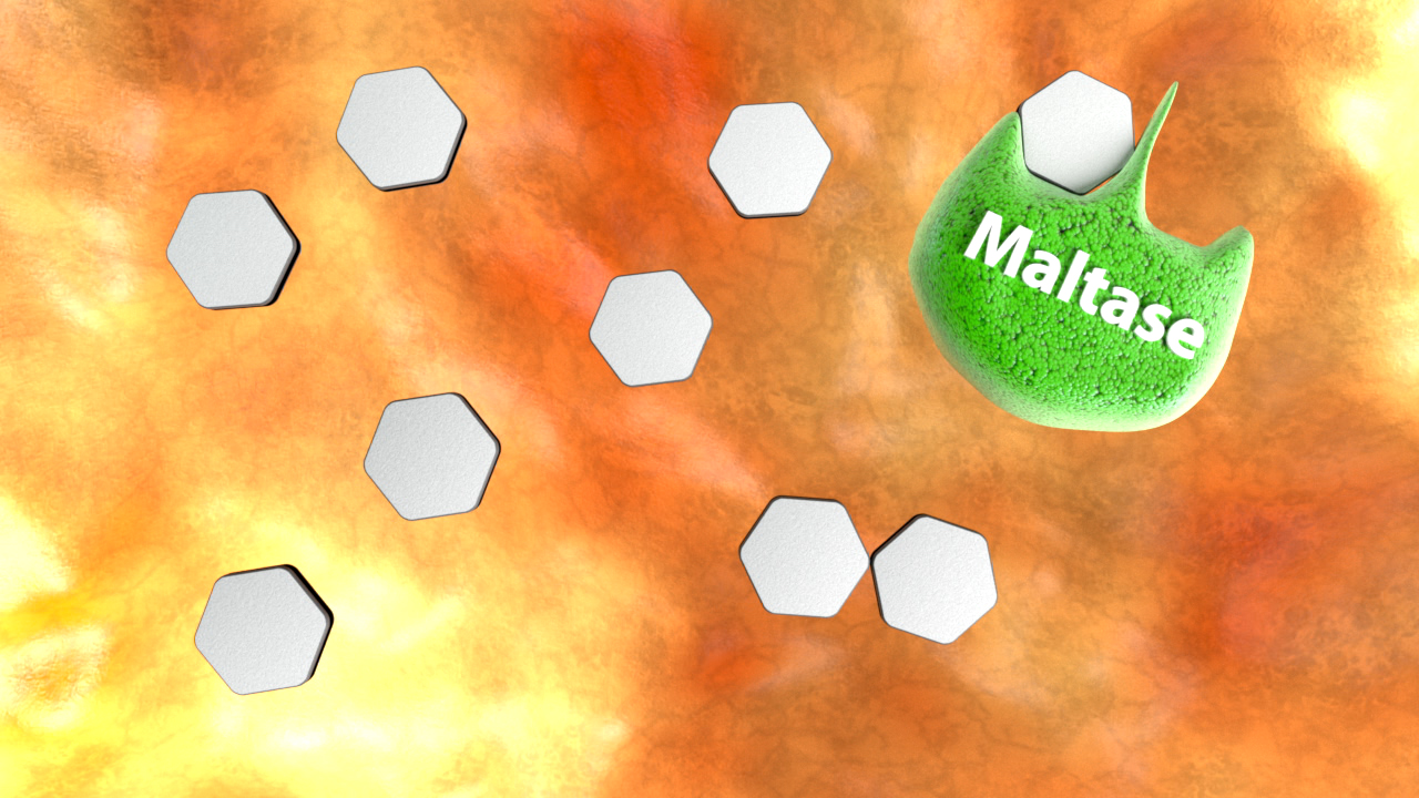 Grafik zeigt Maltase, ein grünes Molekül, das mit hexagonalen Strukturen interagiert.