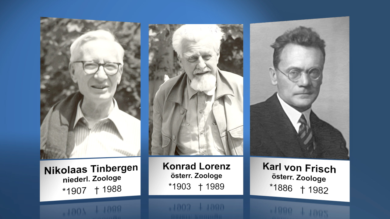 Drei Porträts von Zoologen: Nikolaas Tinbergen, Konrad Lorenz und Karl von Frisch, jeweils mit Geburts- und Sterbedaten.