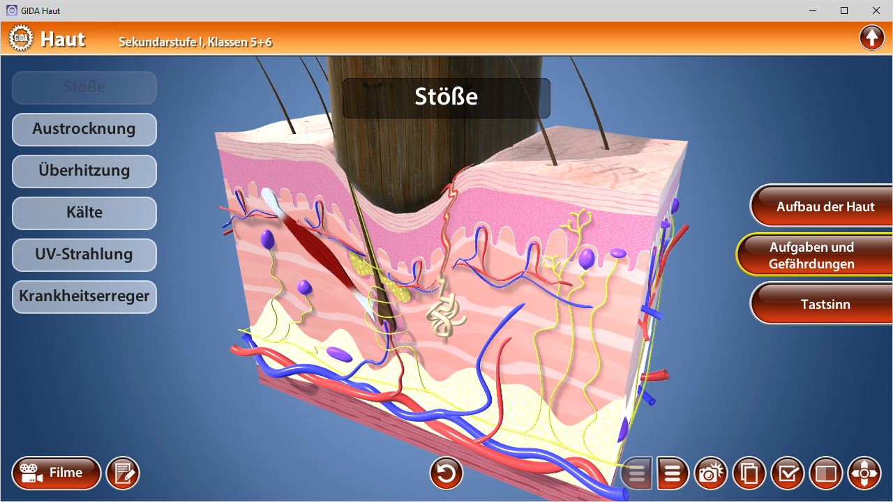 3D-Darstellung der Hautschichten mit Beschriftungen zu Stößen, Austrocknung, Überhitzung, Kälte, UV-Strahlung und Tastinnervation.