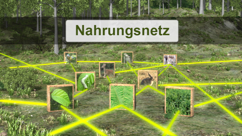 Visualisierung eines Nahrungsnetzes mit Bildern von Pflanzen und Tieren, verbunden durch gelbe Linien.