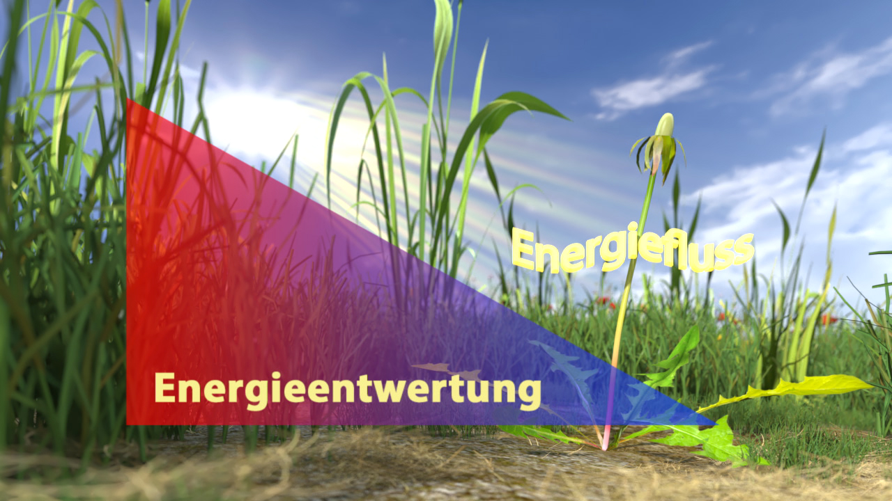 Grafik, die den Zusammenhang zwischen Energiefluss und Energieentwertung in einer Pflanzenumgebung darstellt.