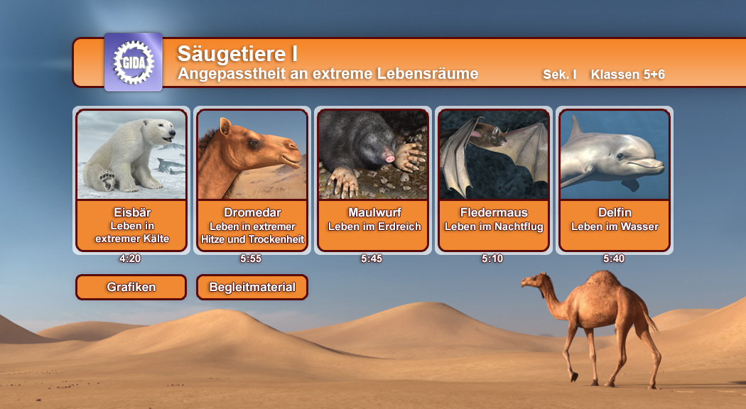 Infografik über Säugetiere, die an extreme Lebensräume angepasst sind, mit Bildern von Eisbär, Dromedar, Maulwurf, Fledermaus und Delfin.