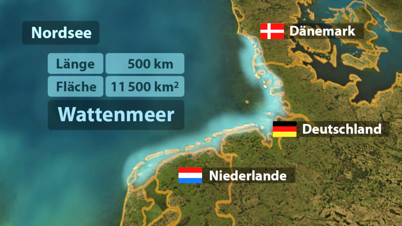 Karte des Wattenmeers mit den Ländern Dänemark, Deutschland und den Niederlanden, einschließlich Entfernungs- und Flächenangaben.