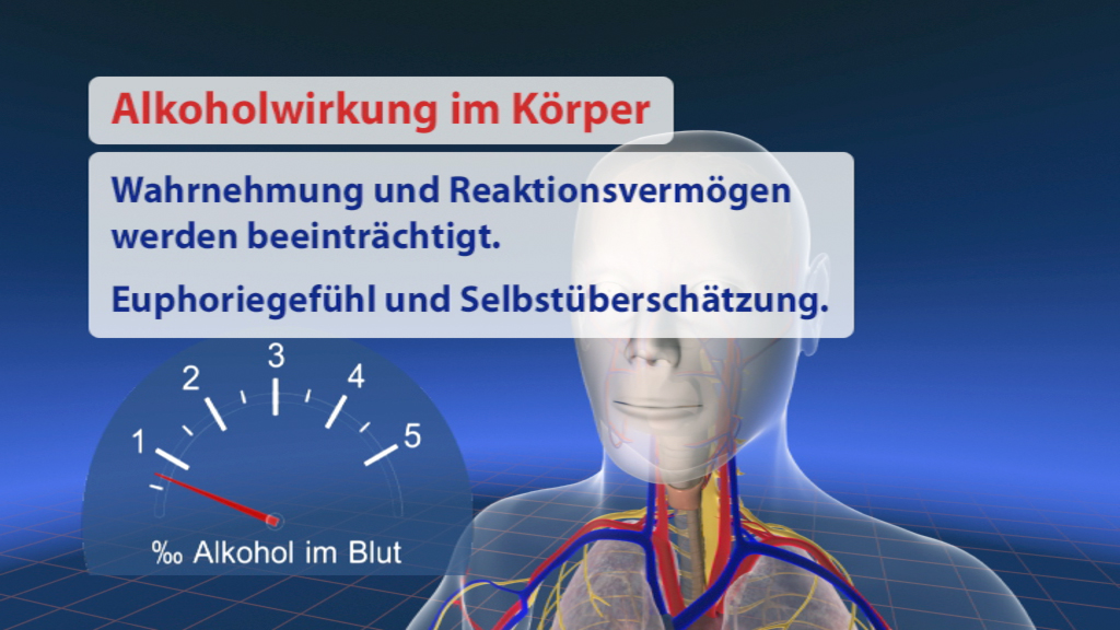 Grafik über die Auswirkungen von Alkohol im Körper, zeigt Wahrnehmung, Reaktionsvermögen und Euphoriestimmung.