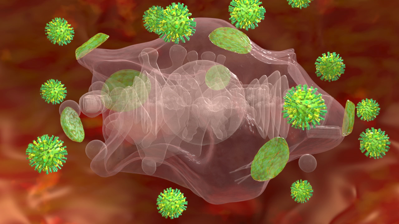 Grafik eines Virus, das in eine Zelle eindringt, umgeben von weiteren Viren.
