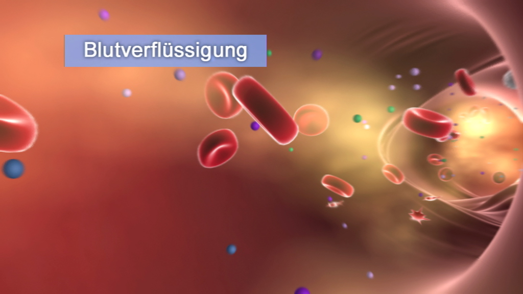 Animation zeigt Blutflüssigkeit mit roten Blutkörperchen und anderen Partikeln in einem Blutgefäß.