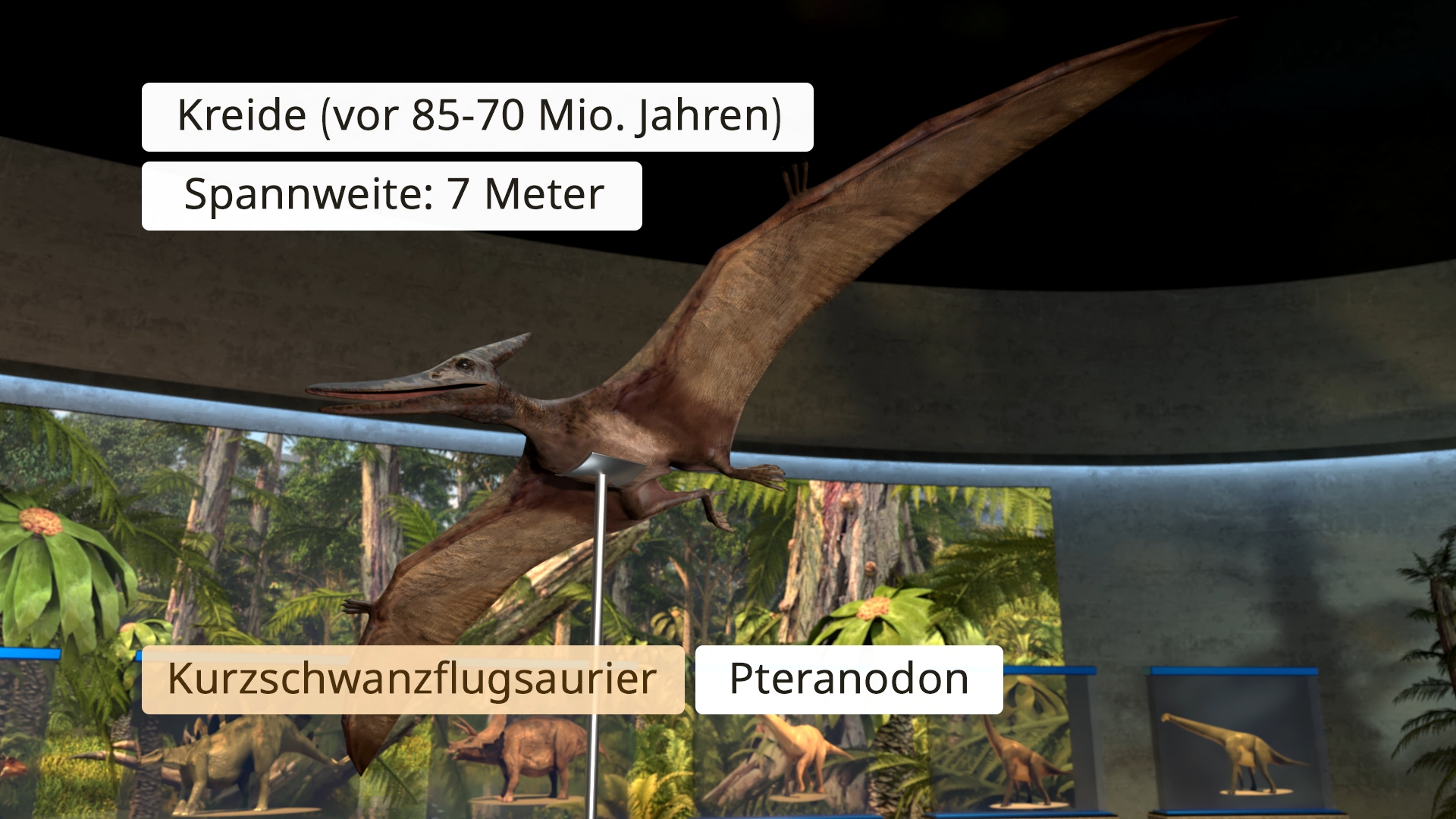 Fliegender Kurzschwanzflugsaurier Pteranodon mit ausgestreckten Flügeln in einer Museumsausstellung mit Pflanzen und Dinosauriermodellen im Hintergrund