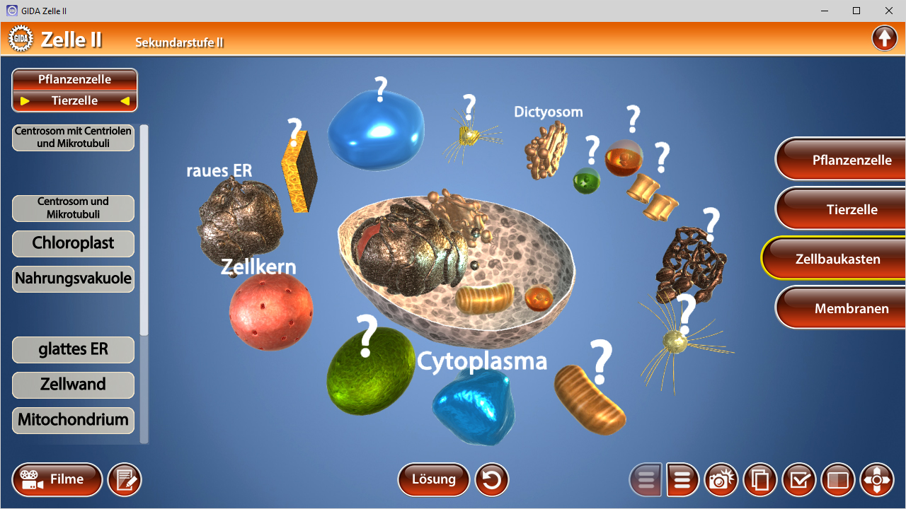 Interaktive Darstellung von Pflanzen- und Tierzellen mit verschiedenen Zellorganellen wie Chloroplasten und Mitochondrien.