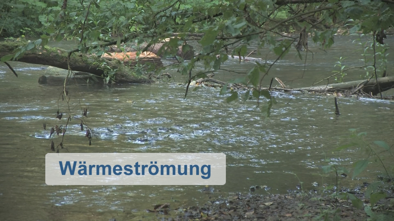 Ein Fluss mit schwimmenden Baumstämmen und ruhigem Wasser, beschriftet mit 'Wärmeströmung'.