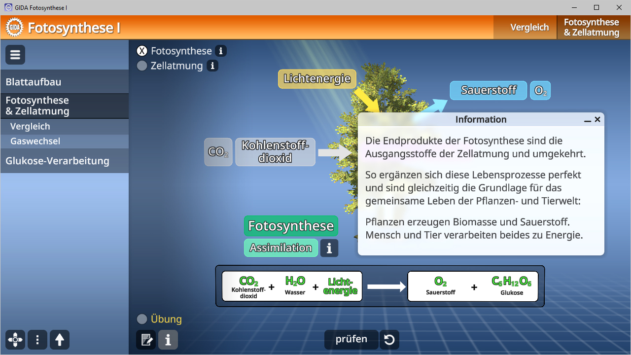 Infografik zur Fotosynthese, zeigt den Prozess und die Endprodukte: Sauerstoff und Glukose, sowie deren Bedeutung für Pflanzen und Tiere.