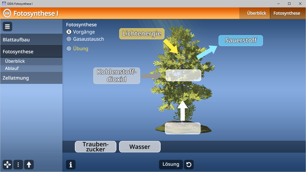 Diagramm zur Fotosynthese mit Pfeilen für Lichtenergie, Sauerstoff, Kohlendioxid, Traubenzucker und Wasser.