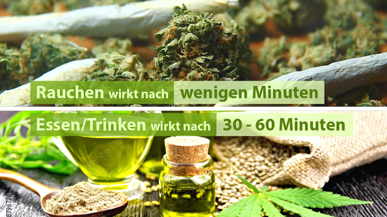 Zwei Abschnitte: Oben Cannabisprodukte, unten Öl und Samen mit Text über Wirkungsdauer: 'Rauchen wirkt nach wenigen Minuten', 'Essen/Trinken wirkt nach 30-60 Minuten'.