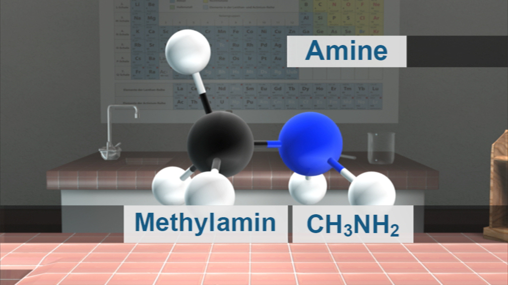 3D-Modell von Methylamin (CH3NH2) mit chemischen Strukturformeln und Bezeichnung 'Amine'.