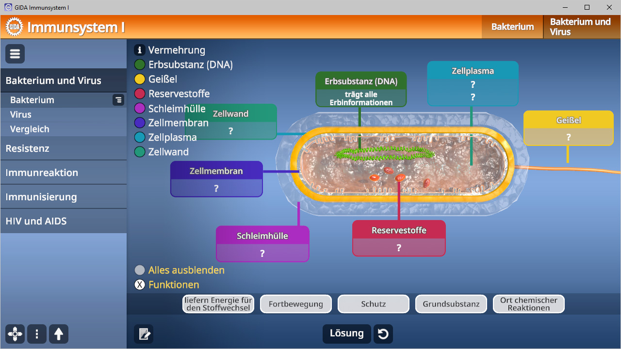 Diagramm des Immunsystems mit Beschriftungen für Zellmembran, Erbsubstanz (DNA), Reservestoffe, Zellplasma und Zellwand.