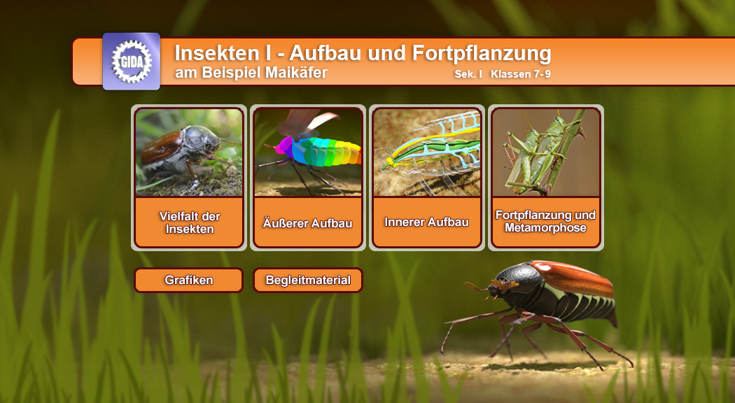 Menü des Films mit den Themen: Vielfalt der Insekten, Äußerer Aufbau, Innerer Aufbau, Fortpflanzung.