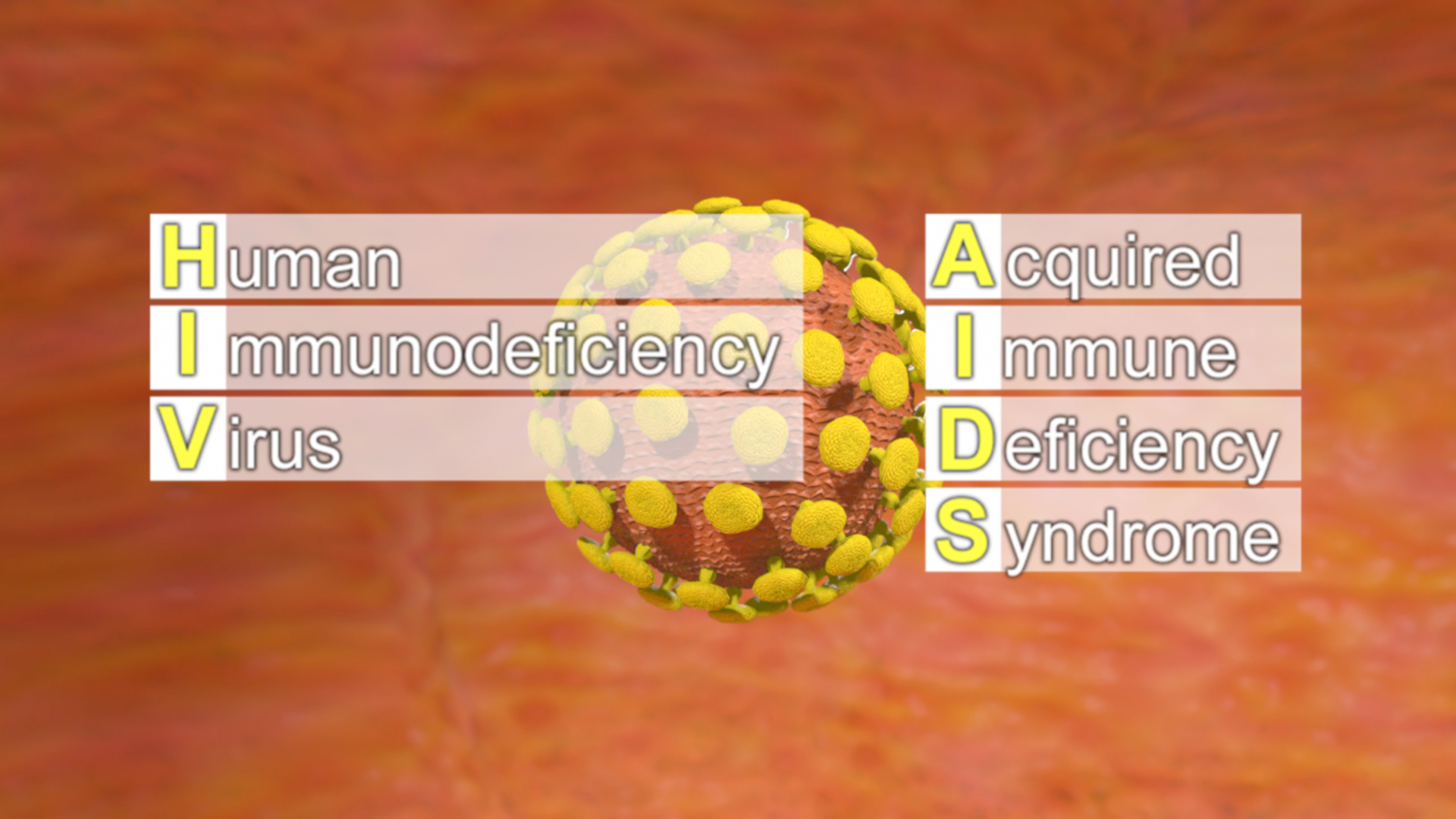 3D-Darstellung des HIV-Virus mit den Buchstaben, die für 'Human Immunodeficiency Virus' und 'Acquired Immune Deficiency Syndrome' stehen.