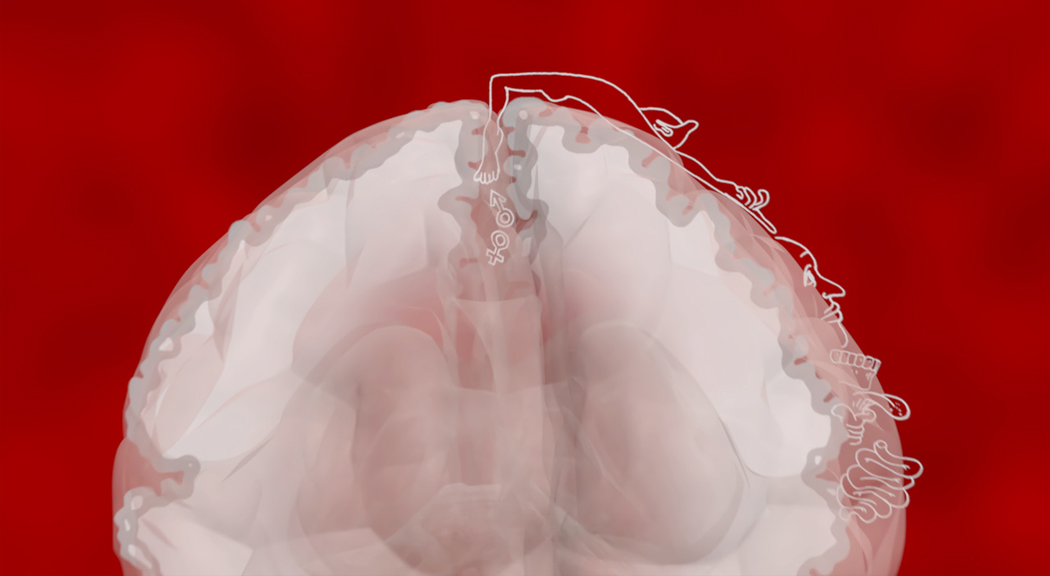 Grafik eines menschlichen Gehirns mit schematischer Darstellung von Nervenverbindungen.